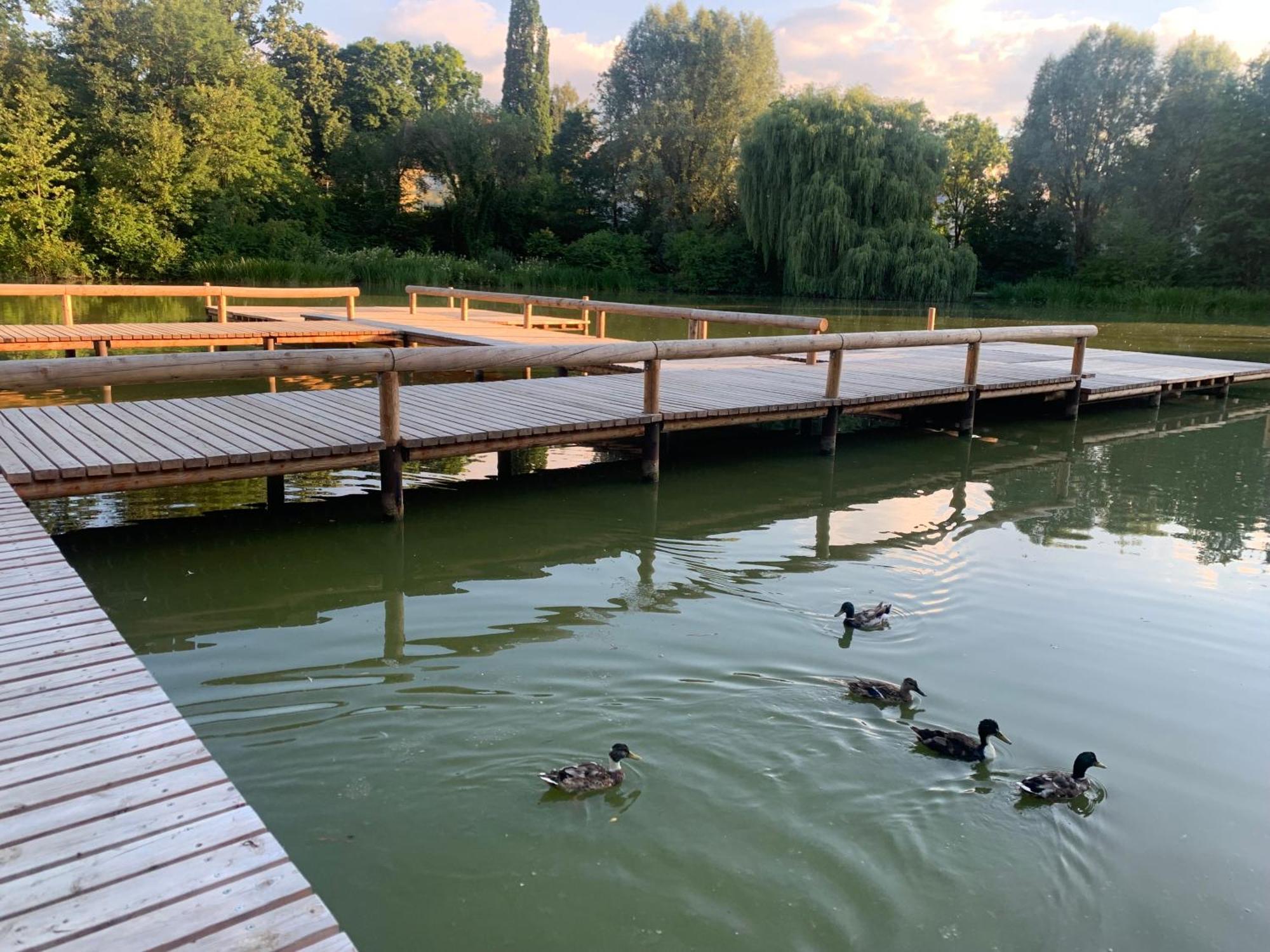 Altstadtloft Straubing Zewnętrze zdjęcie